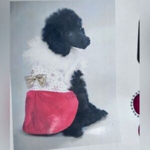 Dog Christmas snowflake princess dress Med